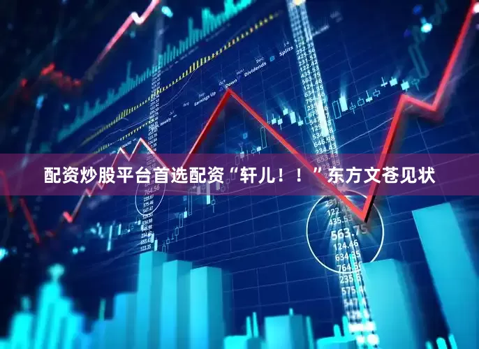 配资炒股平台首选配资“轩儿！！”东方文苍见状